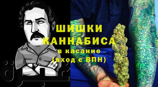 шишки Волосово