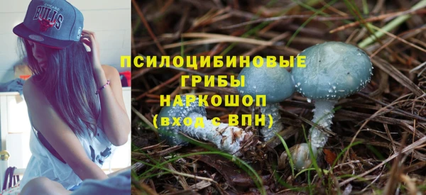 прущие крисы Володарск