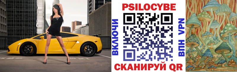 Псилоцибиновые грибы Psilocybine cubensis  Высоцк 